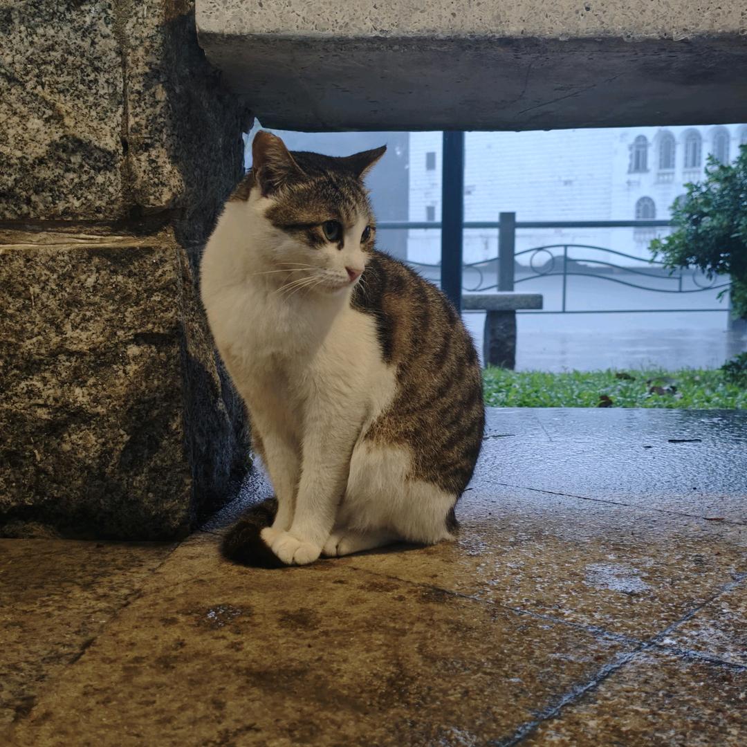 混片场的卢克