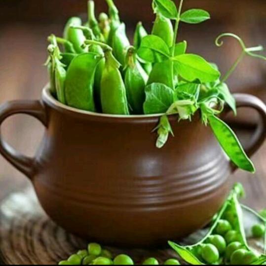 开心✧٩(ˊωˋ*)و✧