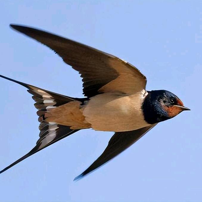 🦋এ᭄心碎ꦿ谁💔买单ོ࿐ᩚ