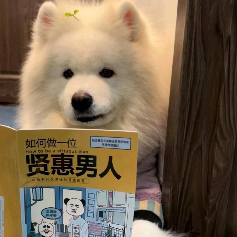 小允爱obb (地铁逃生)