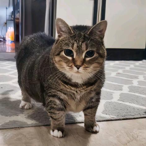 🤍略略略( ｡• 👅 •｡｀)🖤