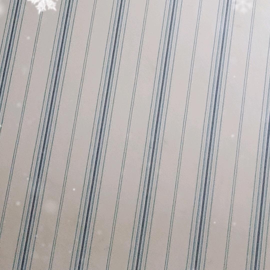 呆呆小弟