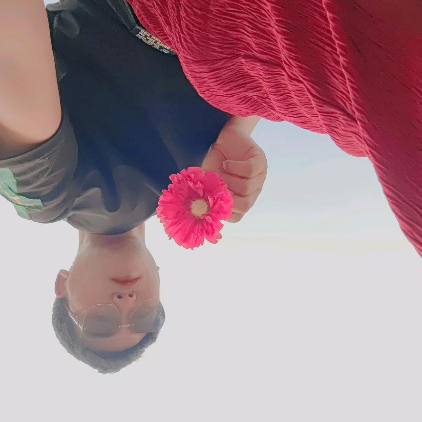 菩提偈