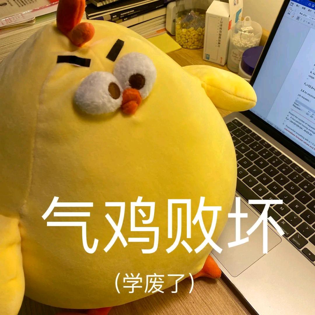 马喽小彩虹