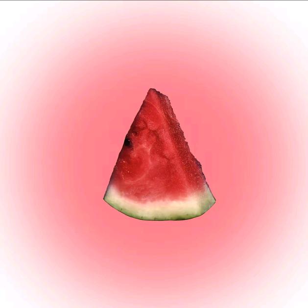芒枸