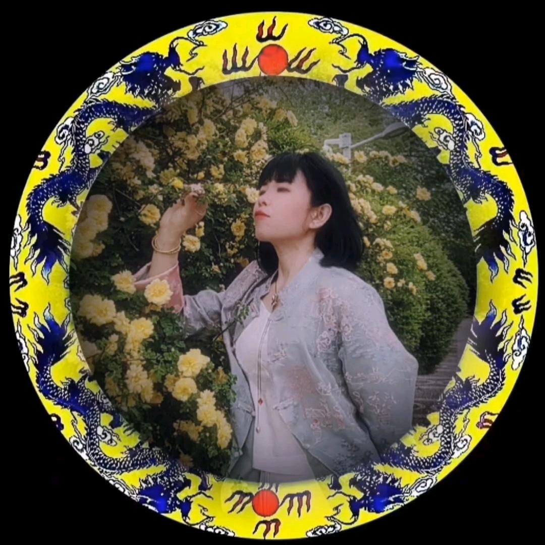 龍行⭐随心所欲 （10）