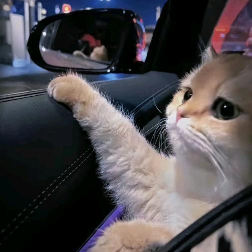 仰止