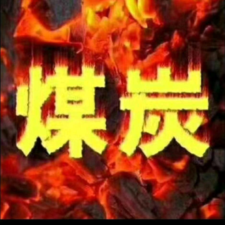 高塘大飞煤炭(寿材)