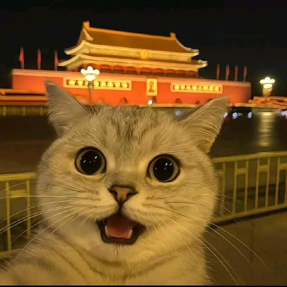 今晚早点睡v