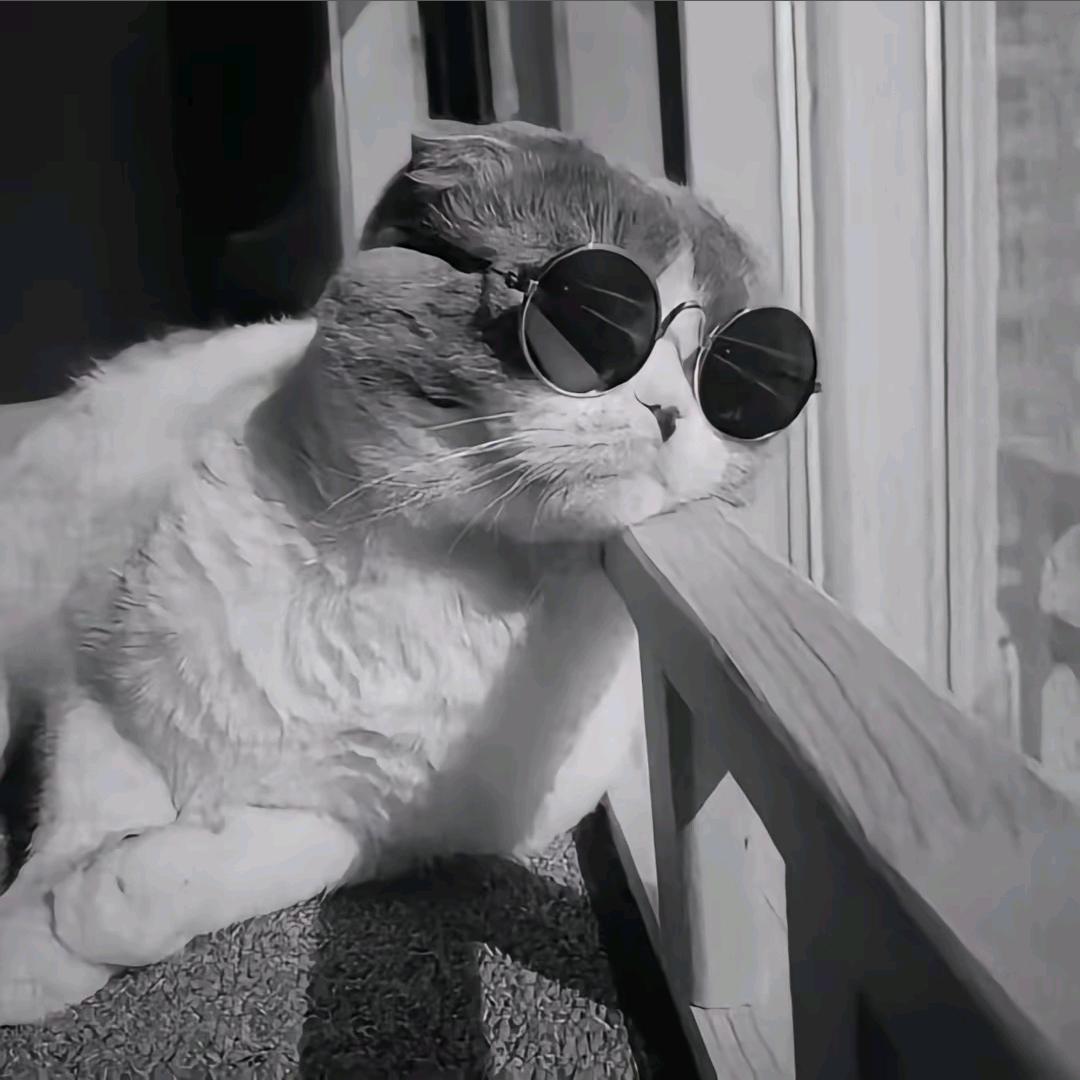 明天