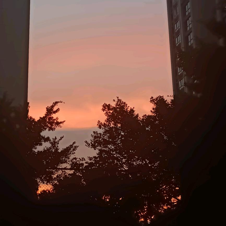 无毁