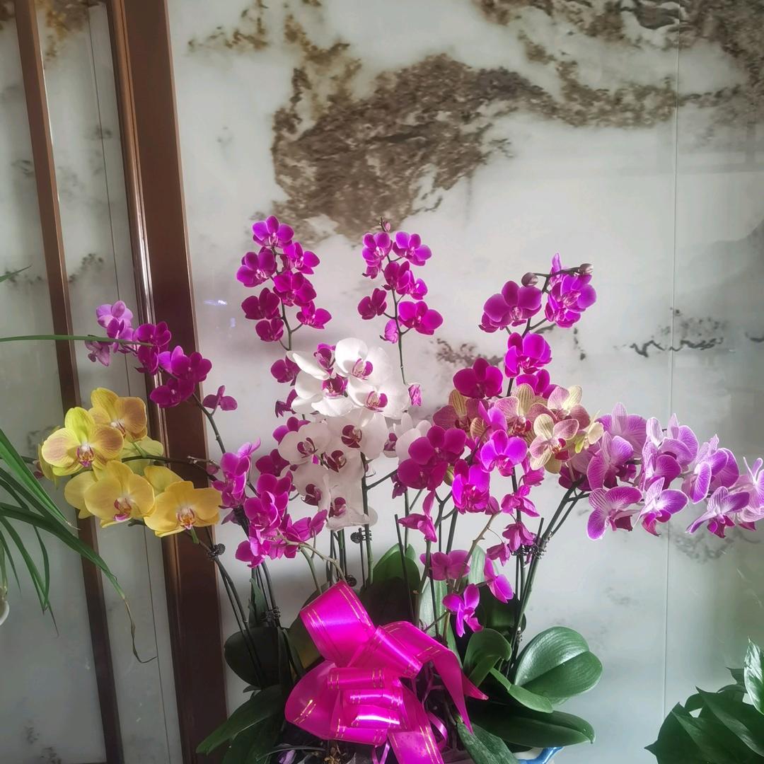 缘份