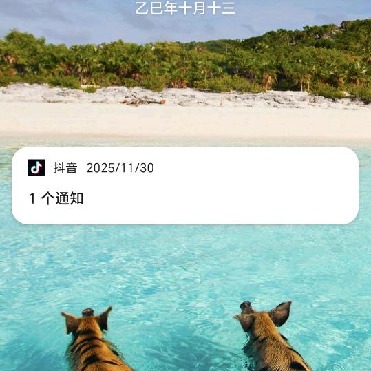 图雅