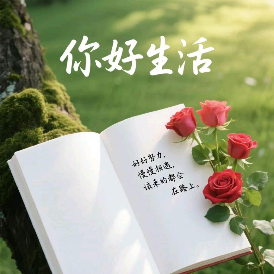 ༊程  程ღ᭄ꦿ꯭এ᭄：💞