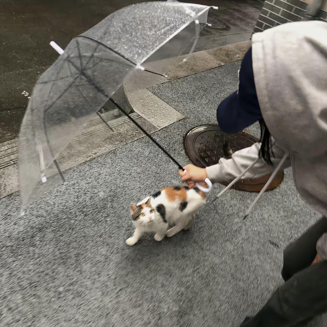 小sun不怂.