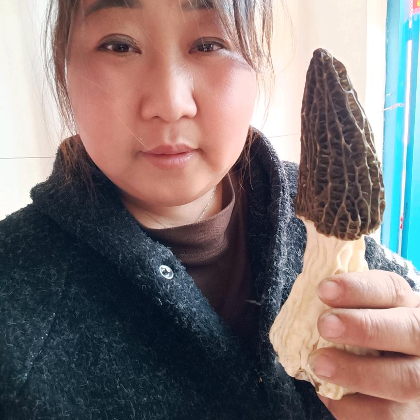 香姐种羊肚菌！