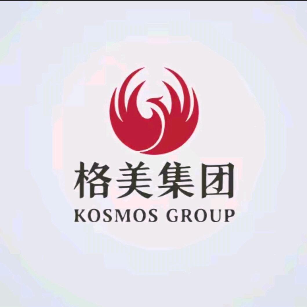 格美集团—王强