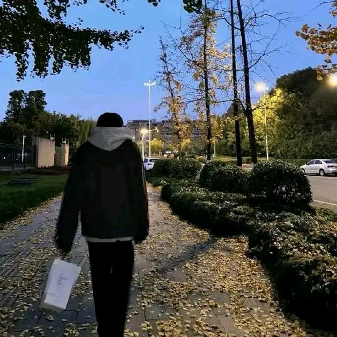 魚的安眠药