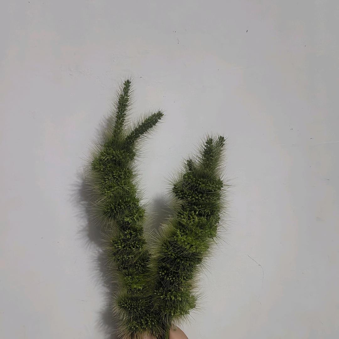 努力做最好的自己