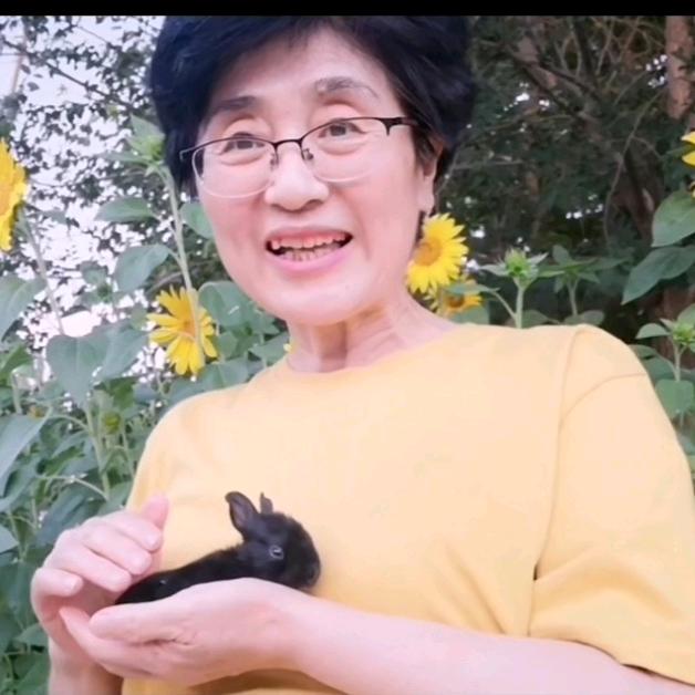 娇娇妈下午2：40首播