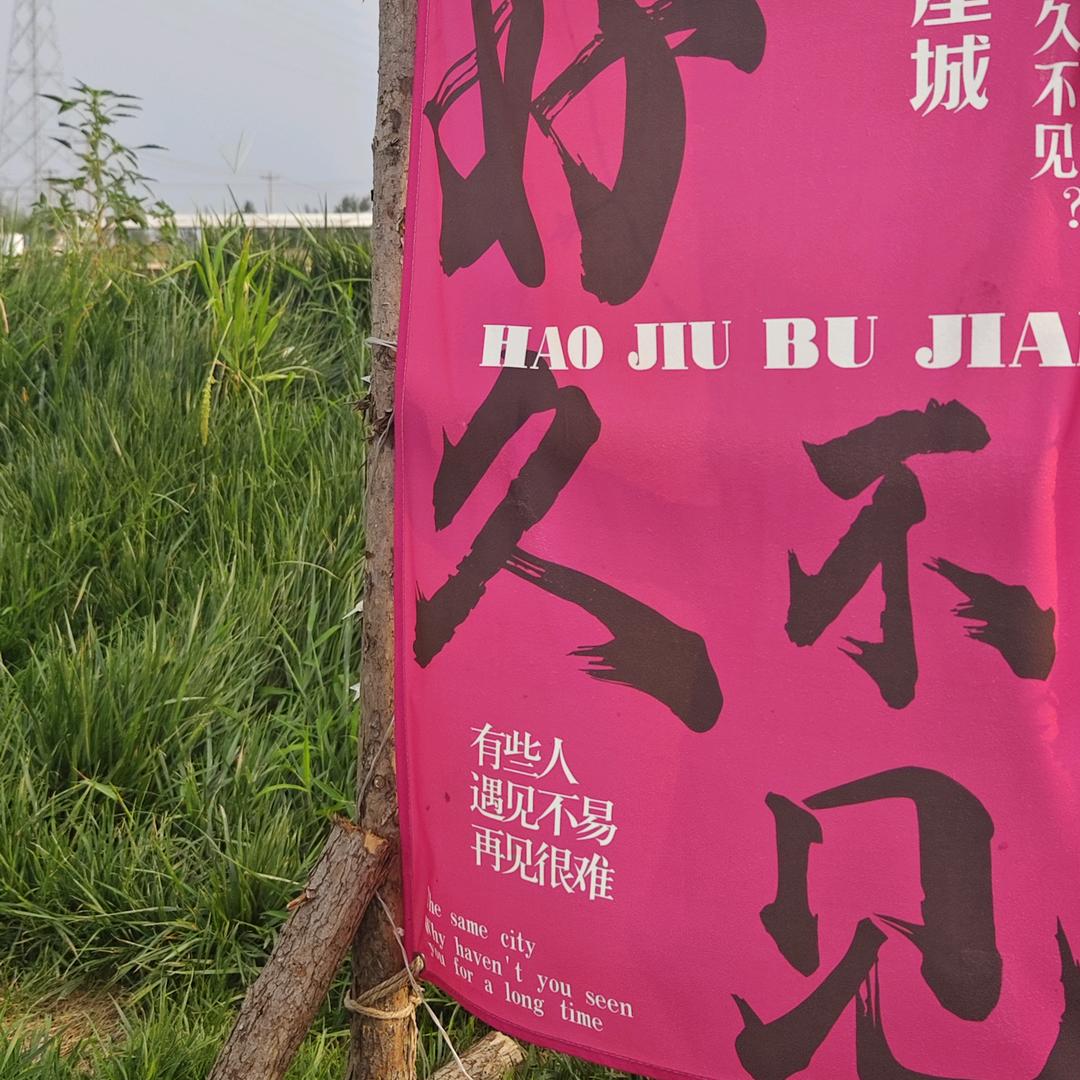 泡芙小姐