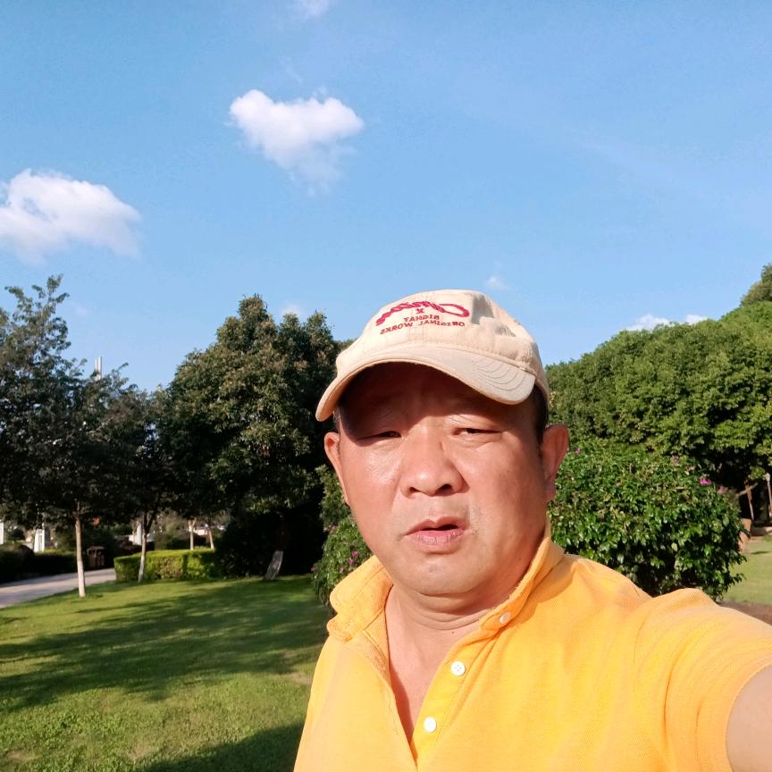 福宝自媒体