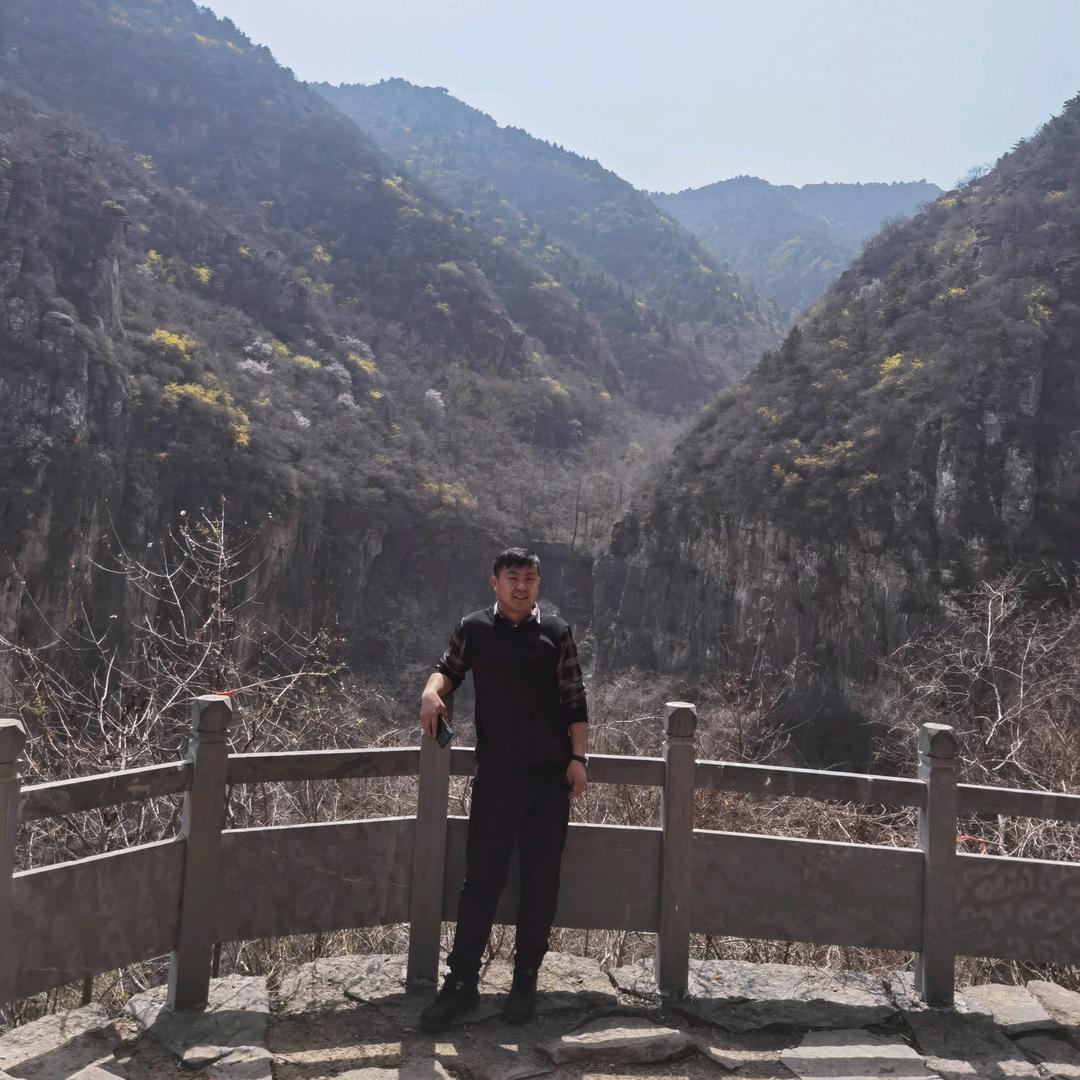 叾屾（独身）头像