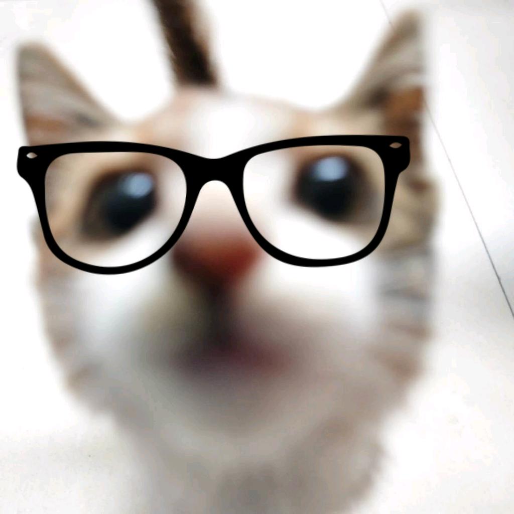 冲纹鱼🐟