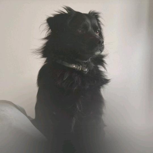 大娘今天吃什么