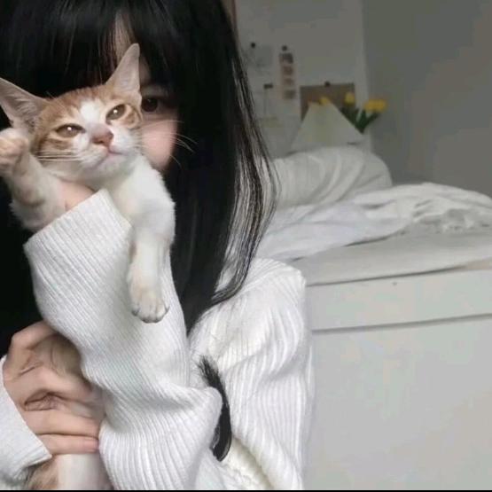 小猫教主.