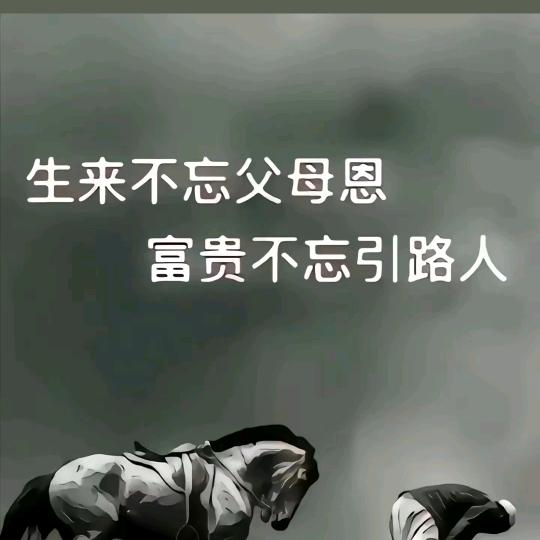 赵宇