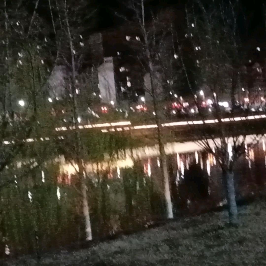 漆菇凉
