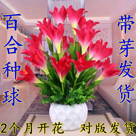 单亲妈妈头像