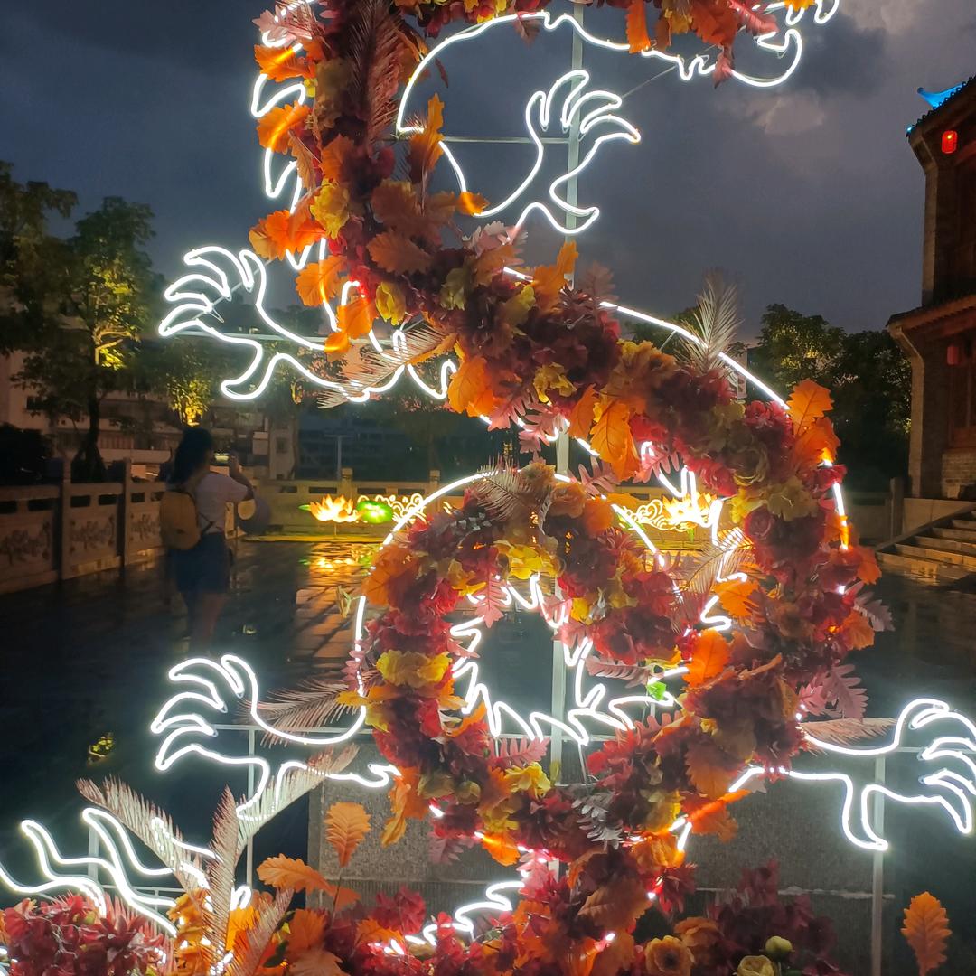 龙