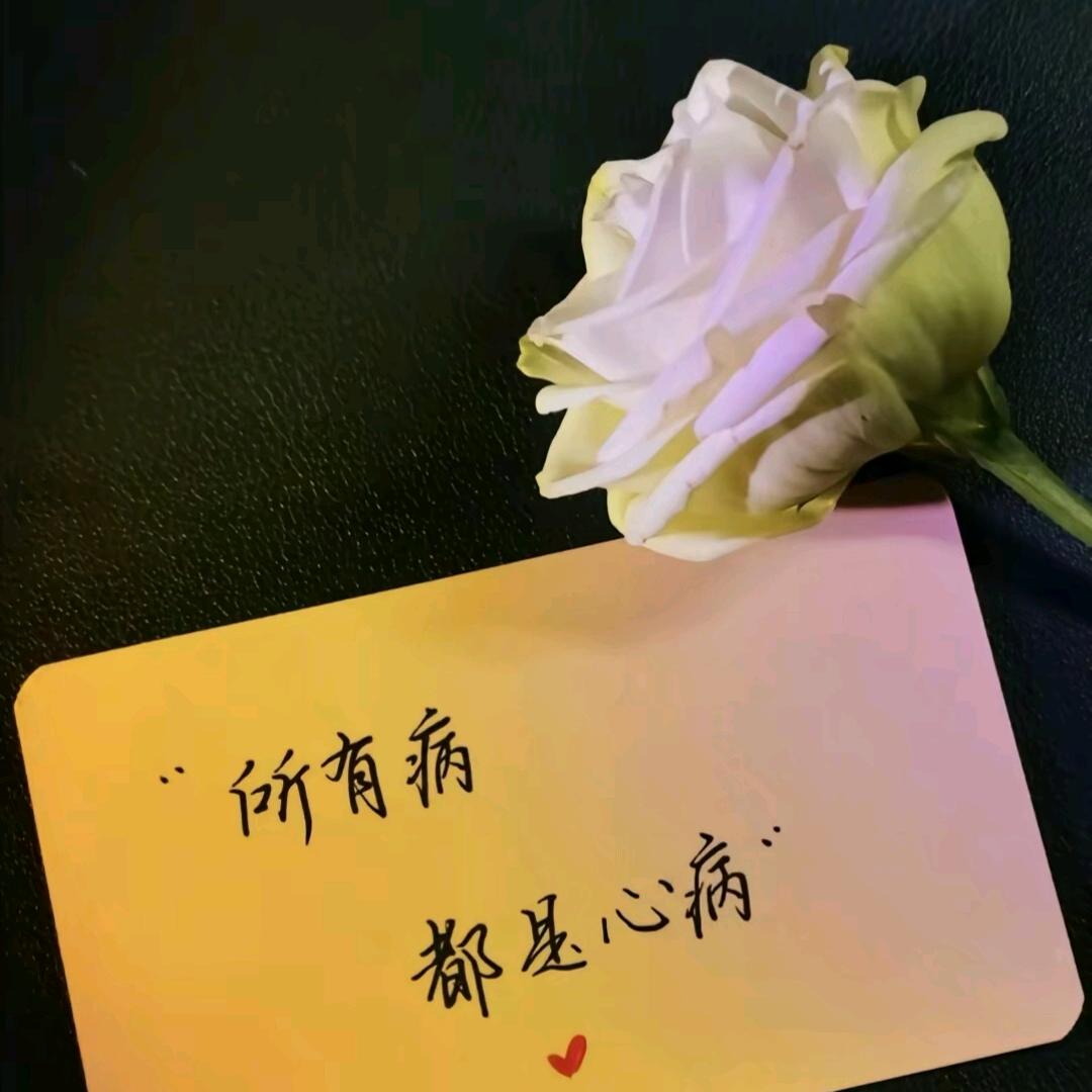 雪于🍃