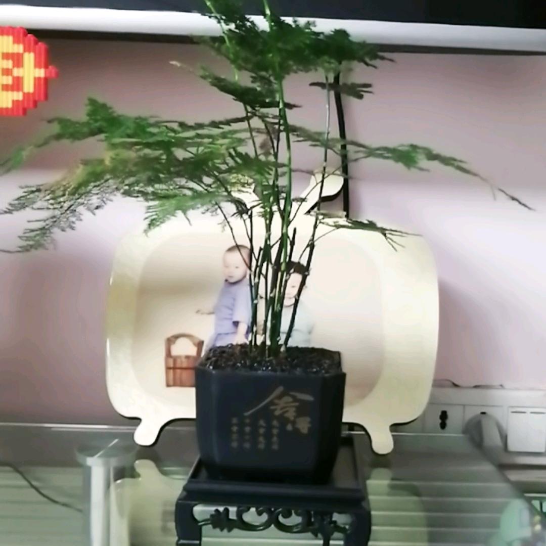 拾光百货优选