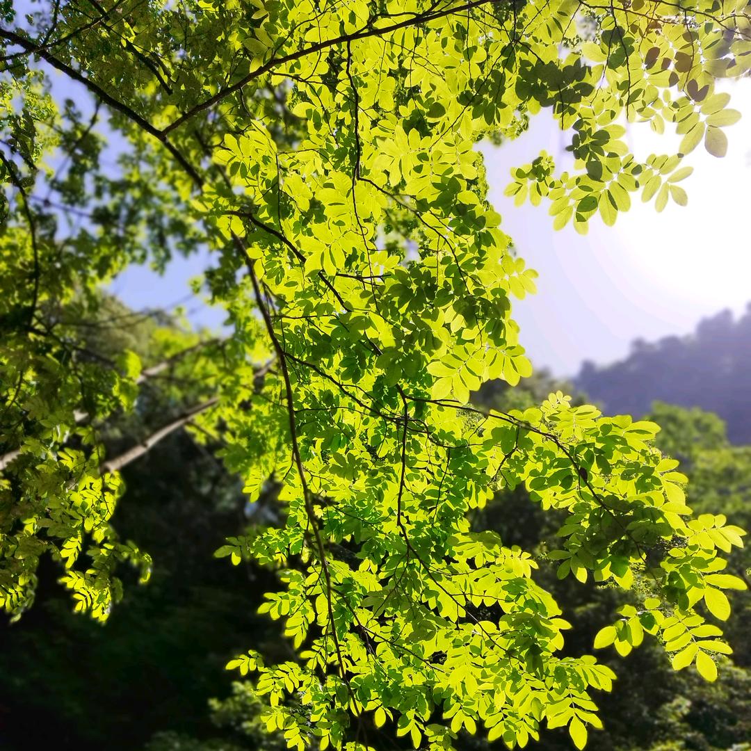 世利服饰工厂店