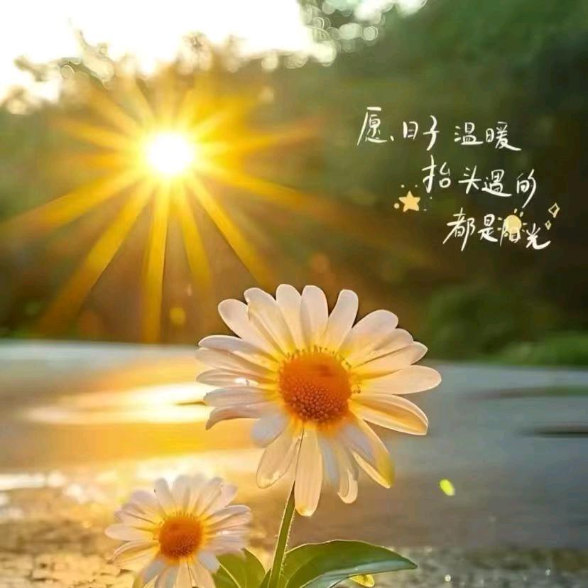 亳州筋骨堂（张关庙店）