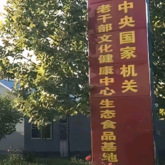幸运草...