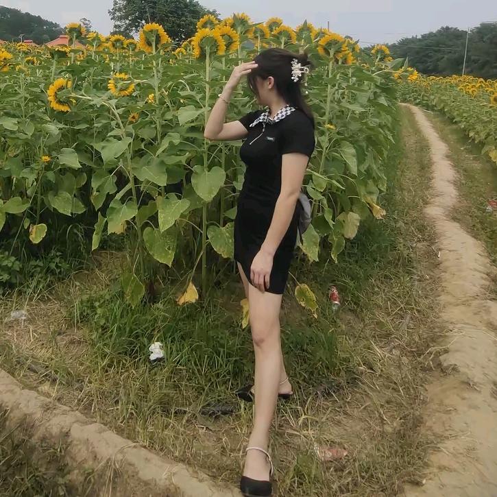 萍儿