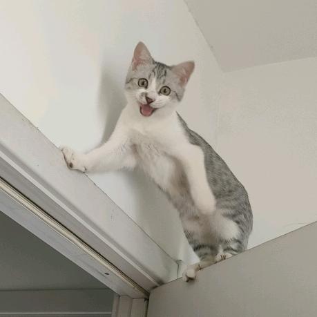 ooh