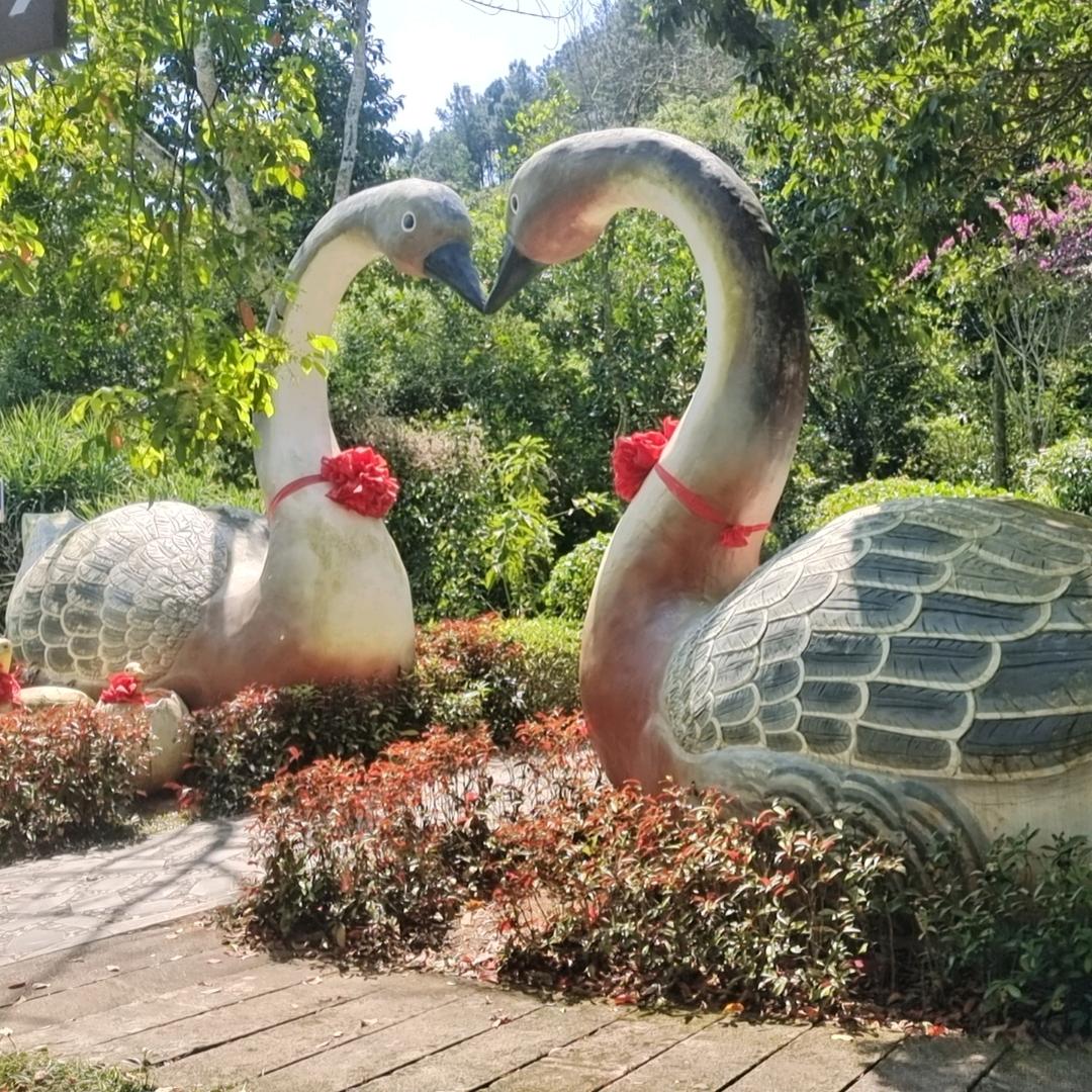 战魂