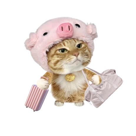 九个孩子的爹爹