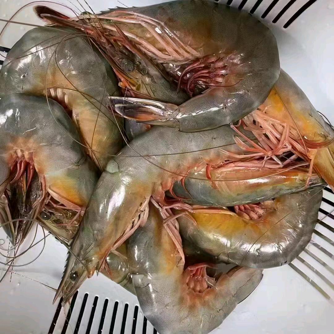 威海曲阜水产