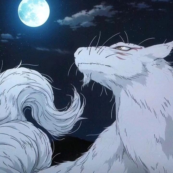 斑大人