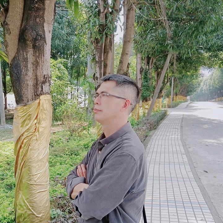 大术(早9：10)开