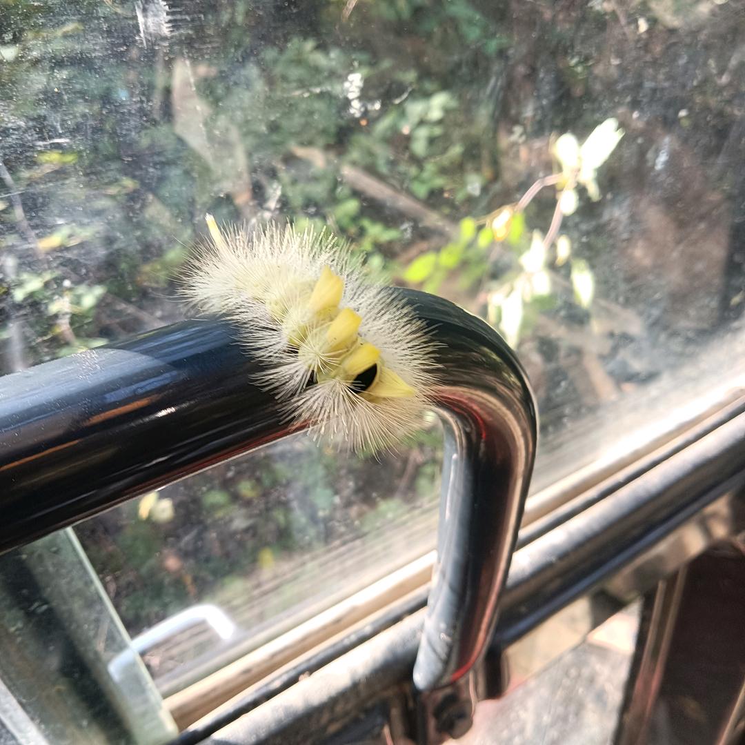 AAA挖机小冷