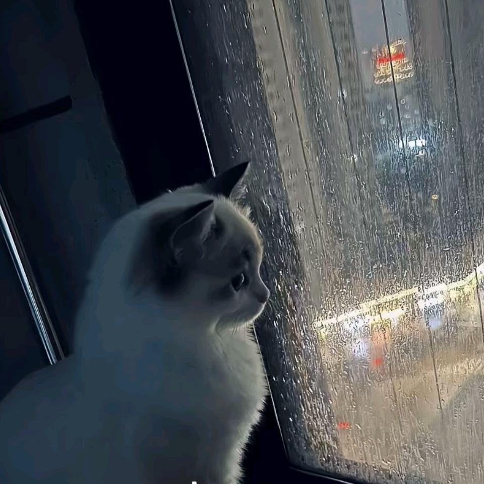 海棠蚀