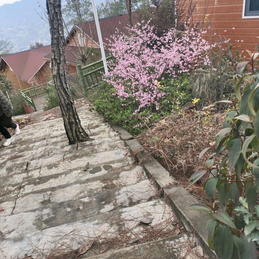 从头在来开心一笑