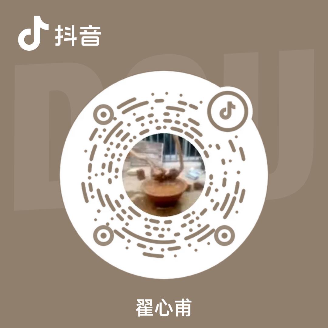 翟心甫